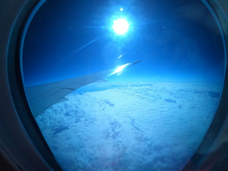 airplane wing from inside plane