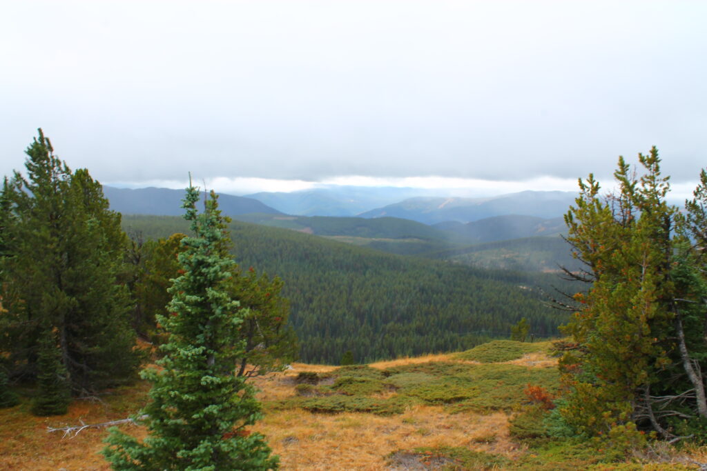 view from peak of Mount Riordan