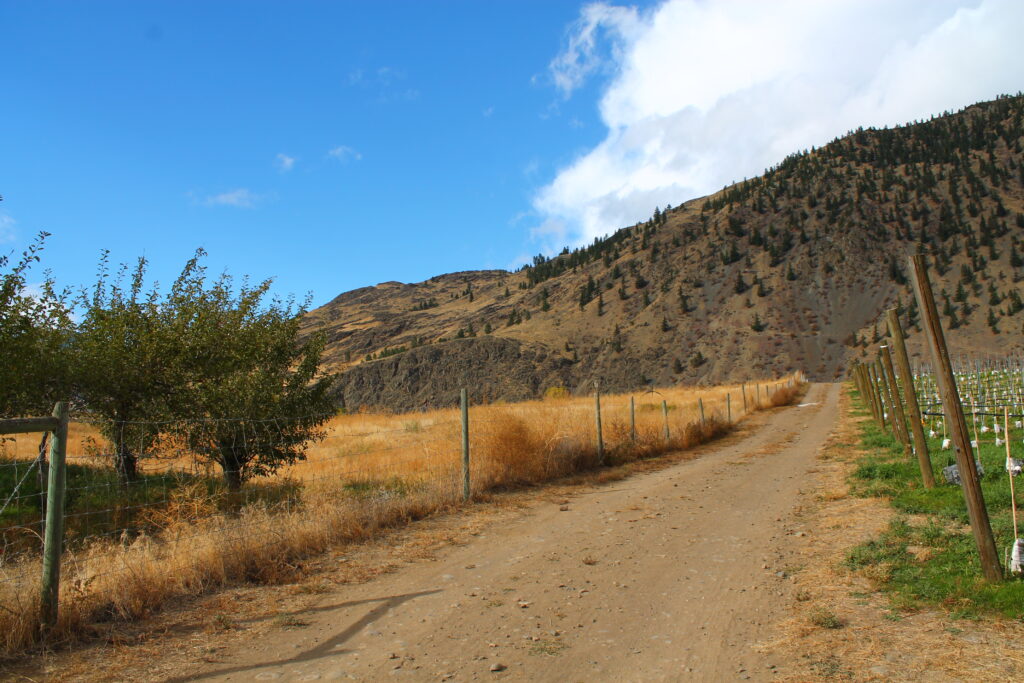 wineries in the Similkameen valley