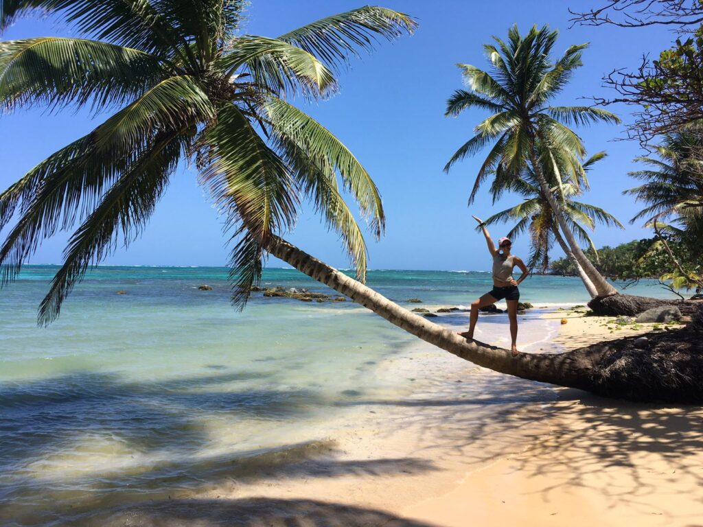 standing on palm tree on Little Corn