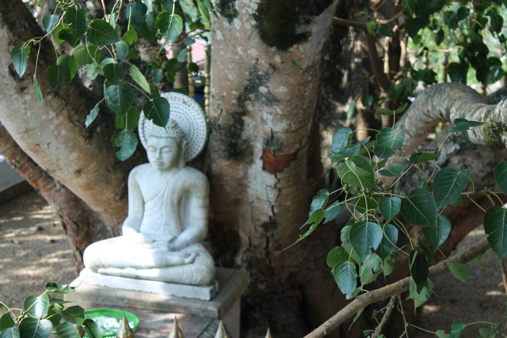 Buddha statue in tree