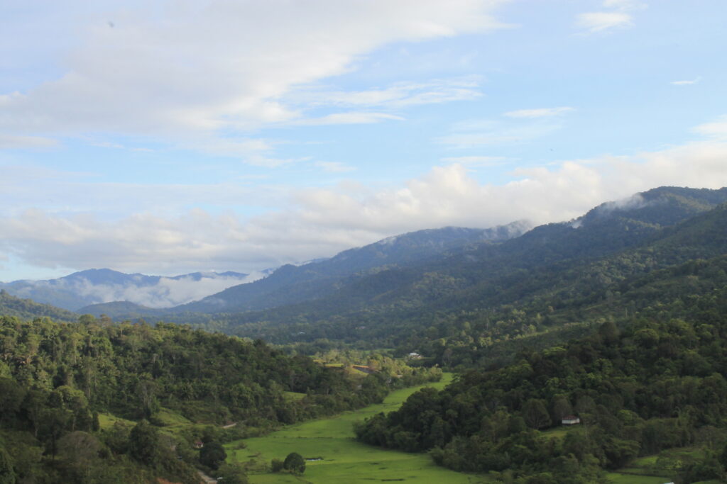 Highlands of borneo