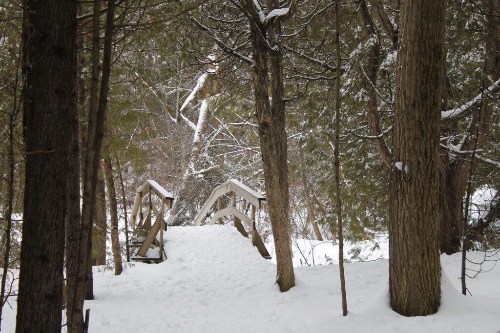 wood bridge built by Orono students