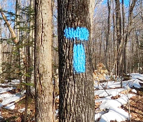 Bruce Caves access trail