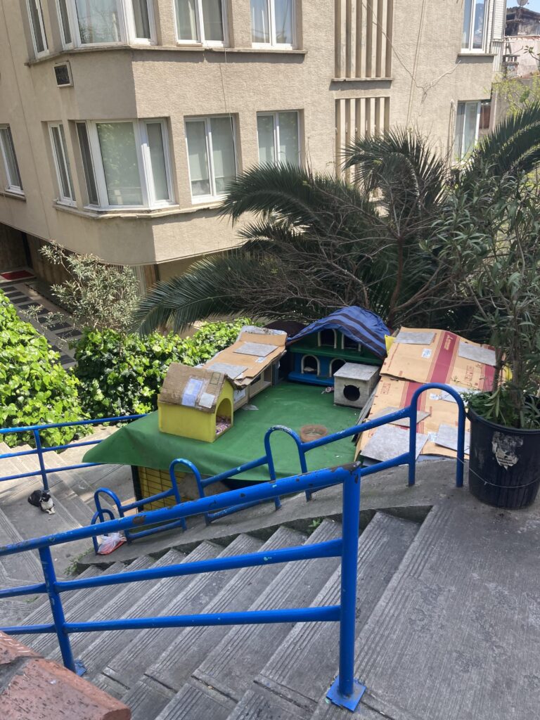 Cement staircase in Istanbul with cat houses.